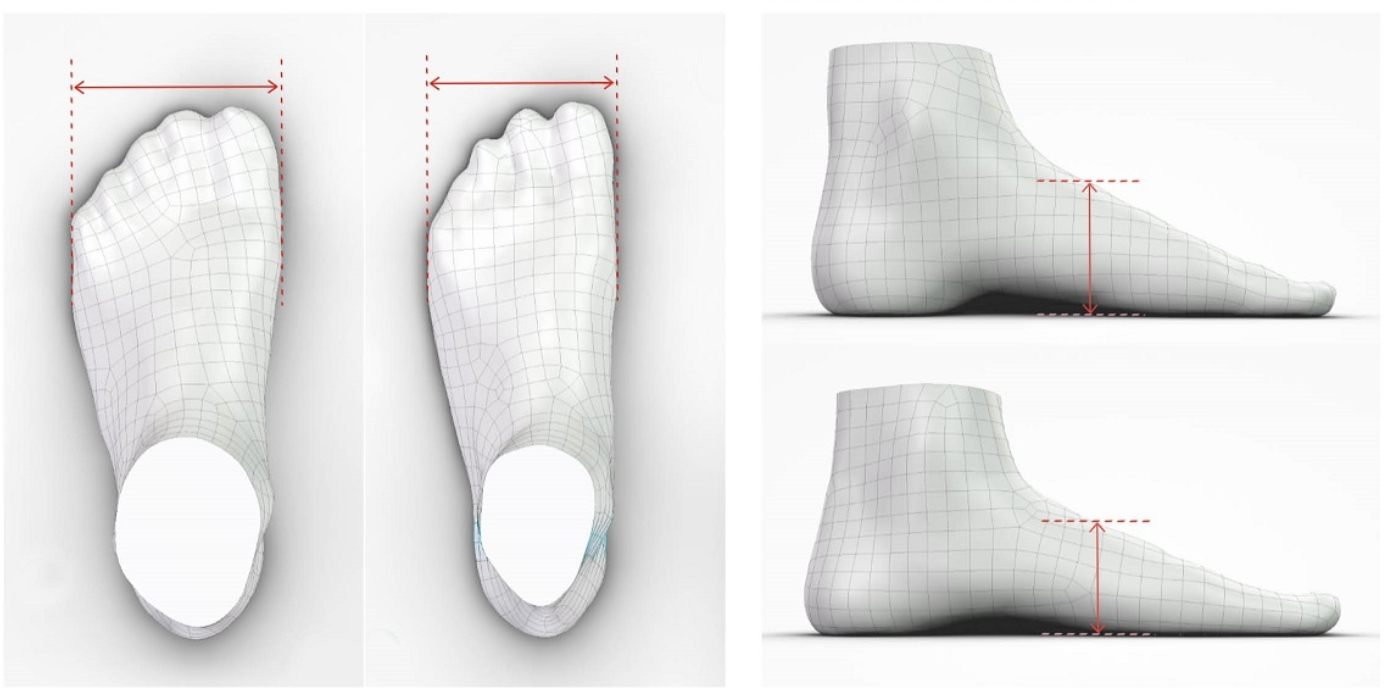 foot-data-and-footwear-design